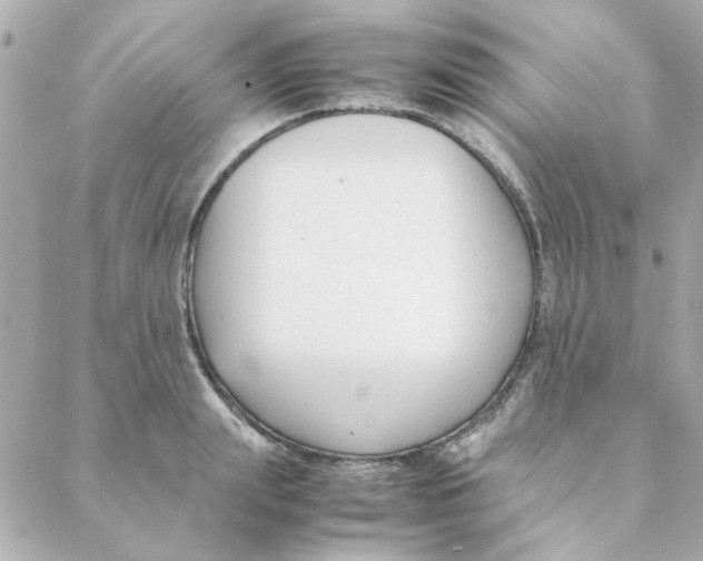 X0000088170847200706051114