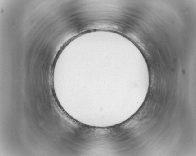 X0000088170848200706051114