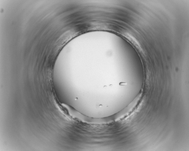 X0000088170849200706051114