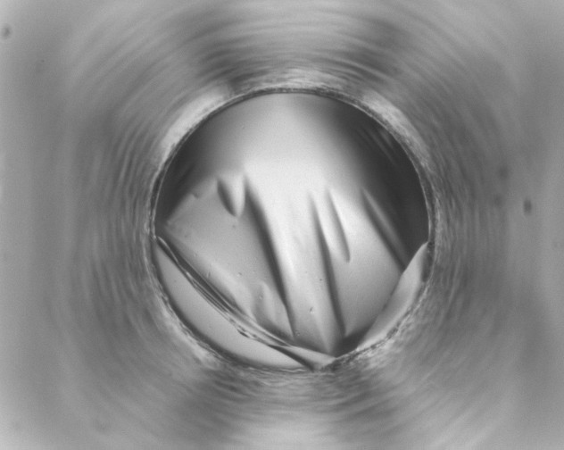 X0000088170850200706051114