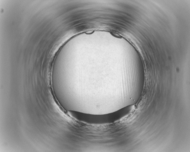 X0000088170851200706051115