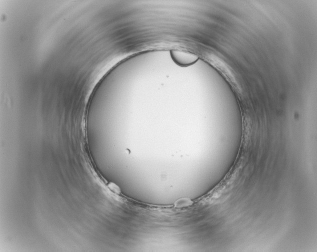 X0000088170852200706051115