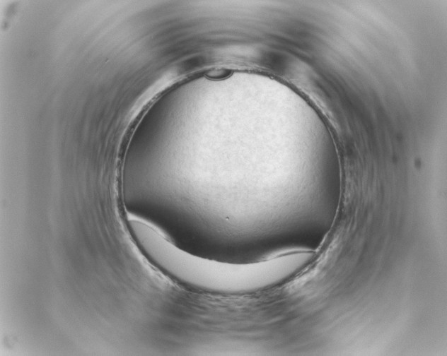 X0000088170853200706051115