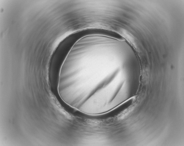 X0000088170854200706051115