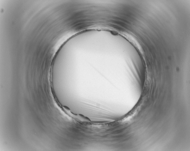 X0000088170855200706051115