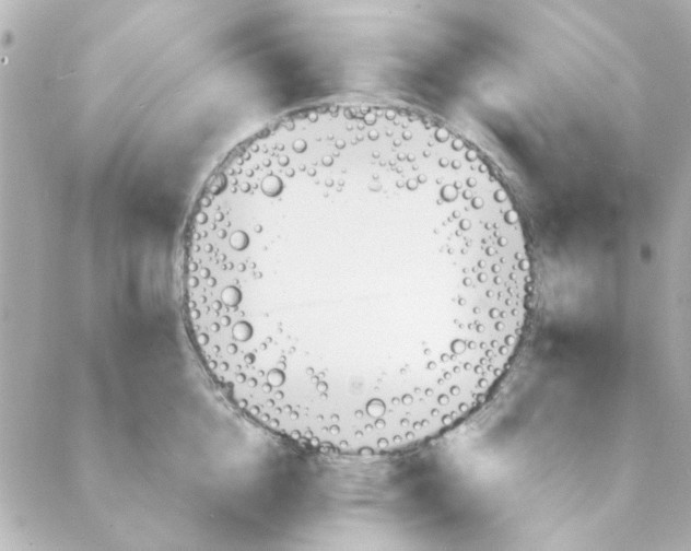 X0000088170856200706051115