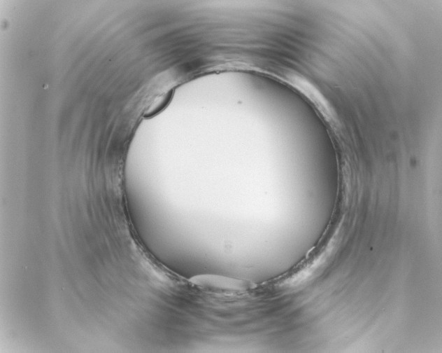 X0000088170857200706051115