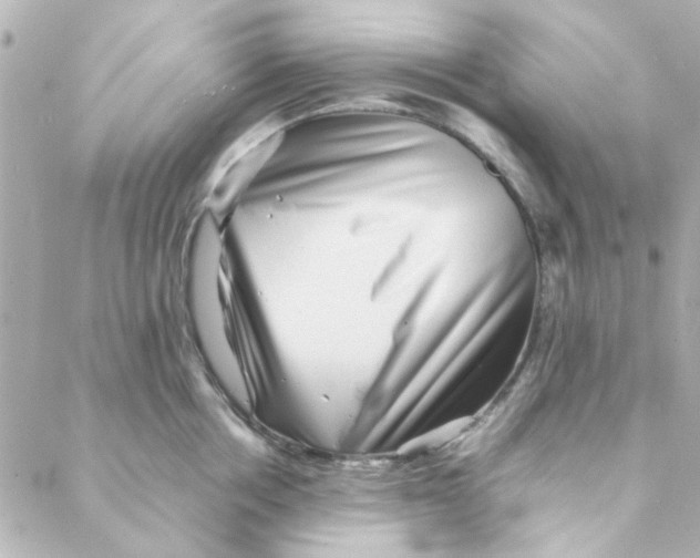 X0000088170858200706051115