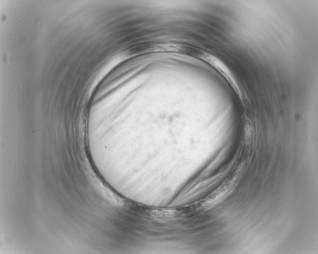 X0000088170859200706051115