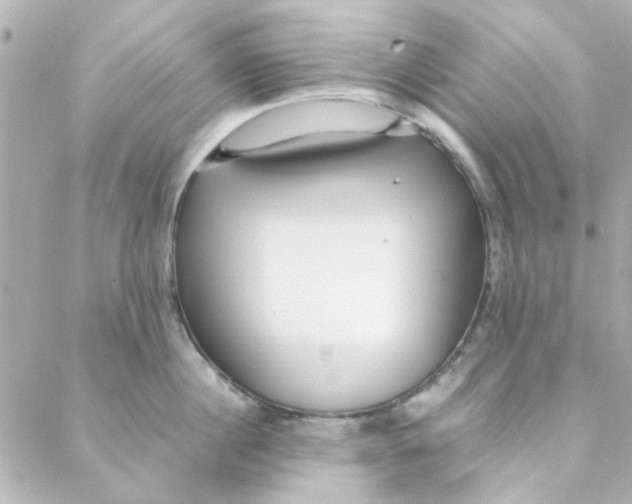 X0000088170860200706051115