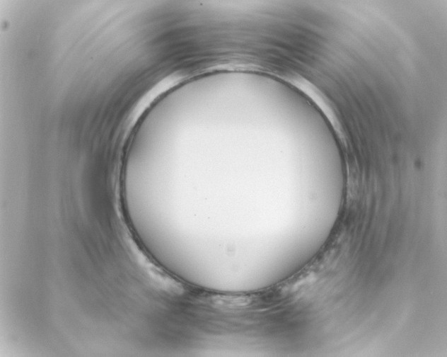 X0000088170861200706051115