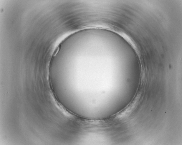 X0000088170862200706051115