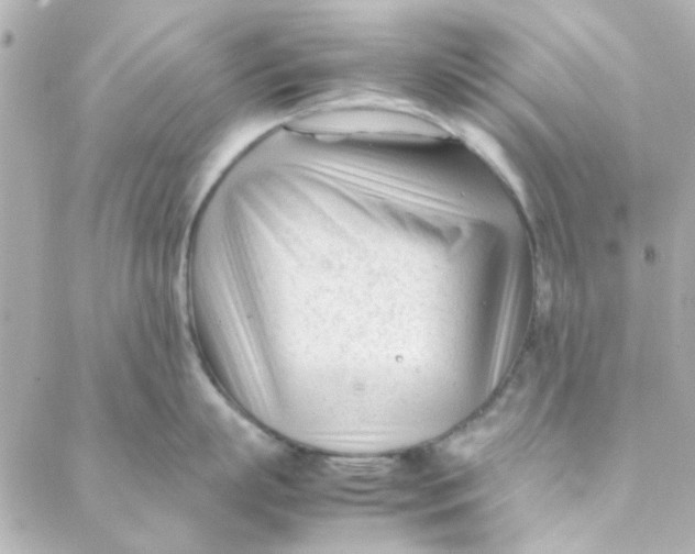 X0000088170863200706051115