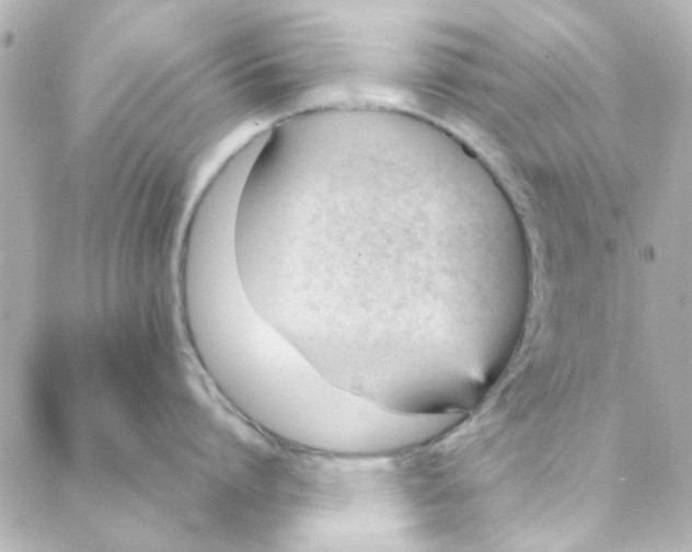 X0000088170864200706051115