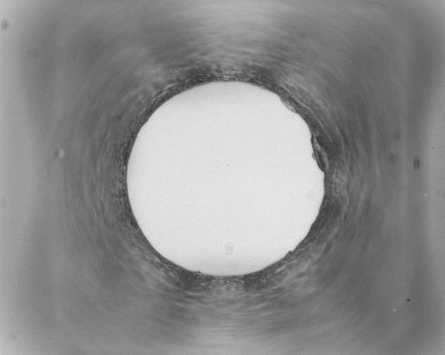 X0000088170865200706051114