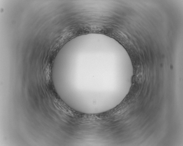 X0000088170866200706051114