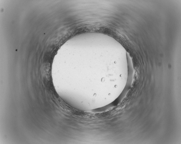 X0000088170867200706051114