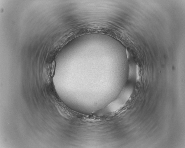 X0000088170868200706051114