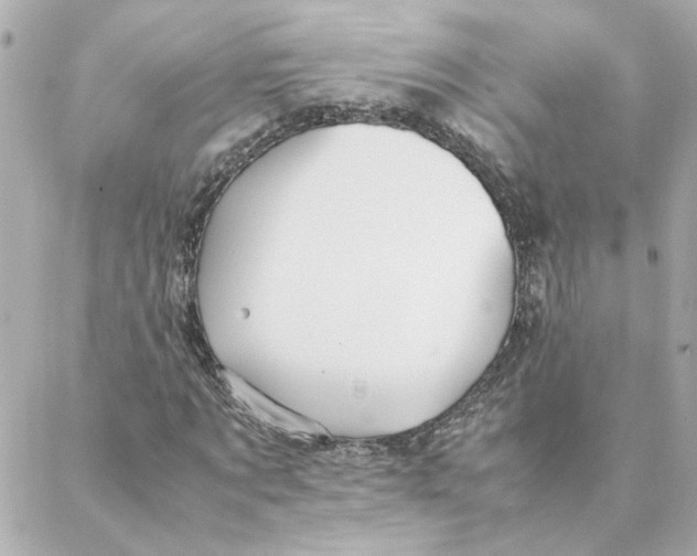 X0000088170869200706051114