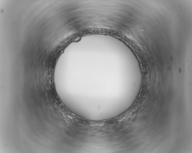 X0000088170870200706051114