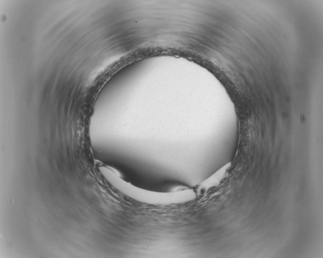 X0000088170872200706051114