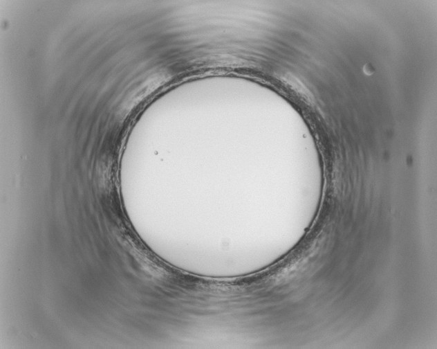 X0000088170873200706051114