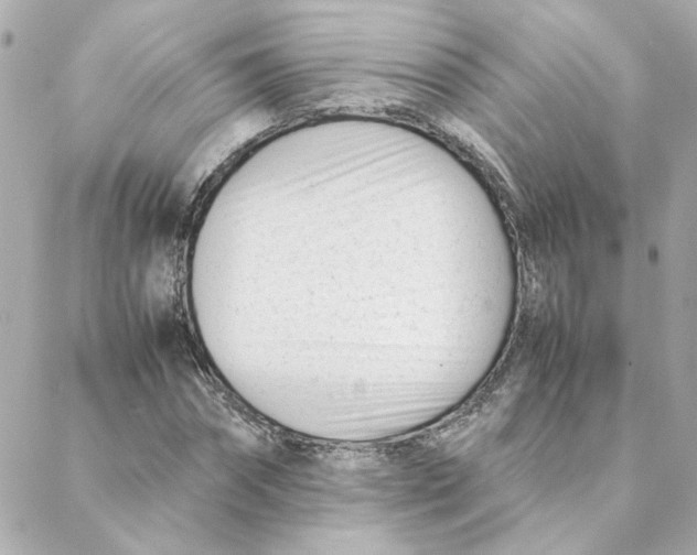 X0000088170874200706051114