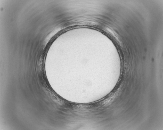 X0000088170875200706051114