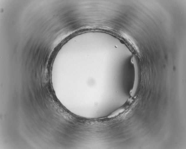 X0000088170876200706051114