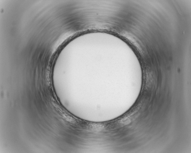 X0000088170878200706051114