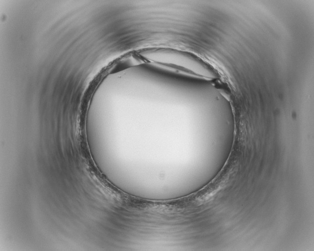 X0000088170880200706051114