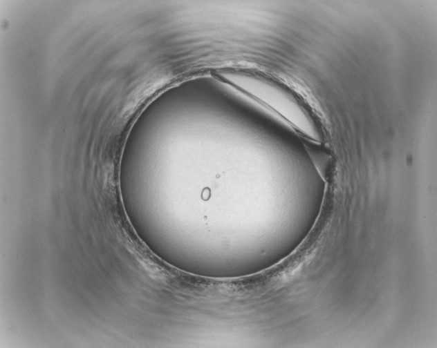 X0000088170881200706051114