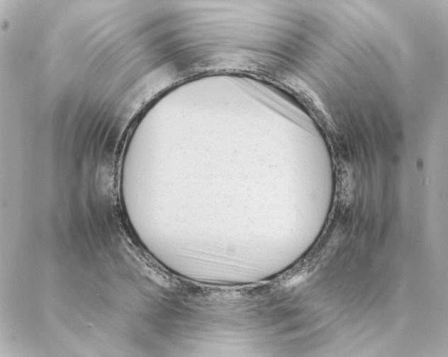 X0000088170882200706051114