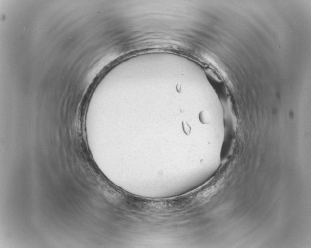 X0000088170883200706051114