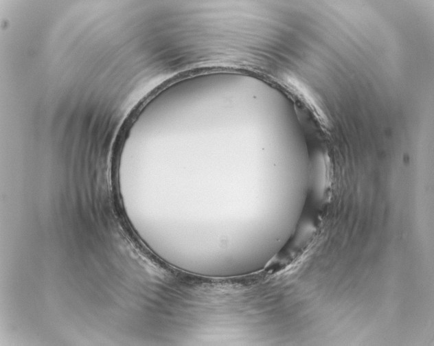 X0000088170884200706051114