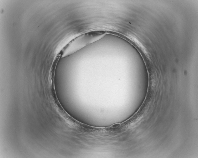 X0000088170885200706051114