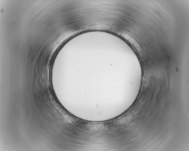 X0000088170886200706051114