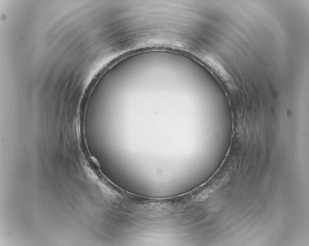 X0000088170888200706051114