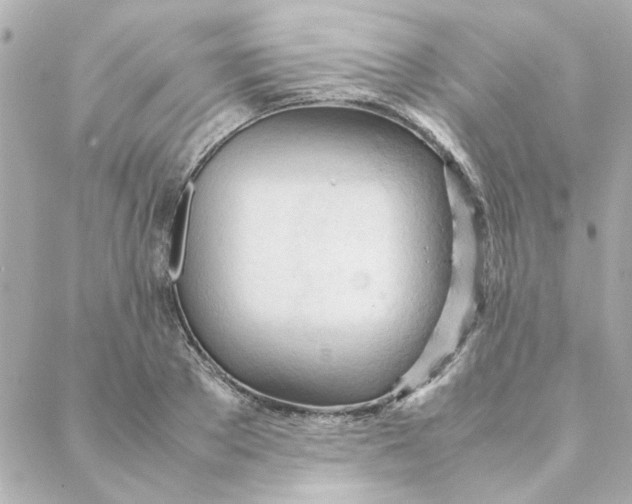 X0000088170889200706051114