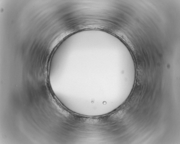 X0000088170890200706051114