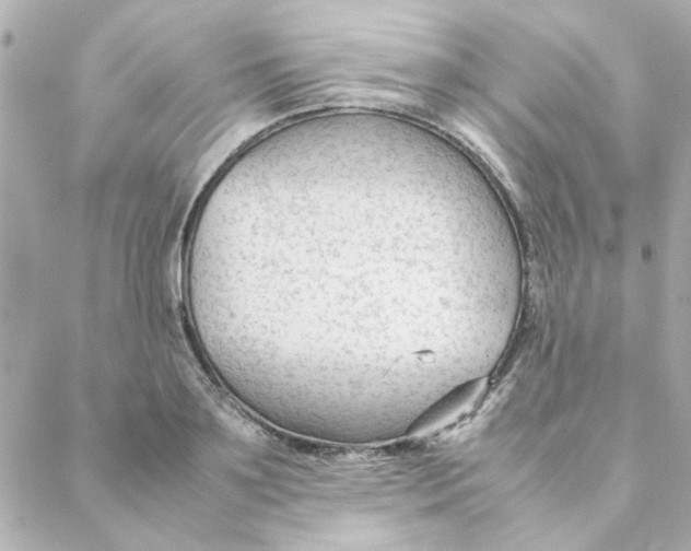 X0000088170891200706051114