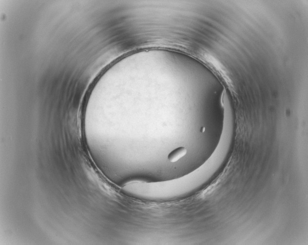 X0000088170892200706051113