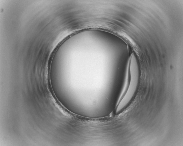 X0000088170894200706051113