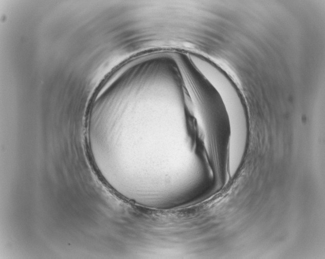 X0000088170895200706051113