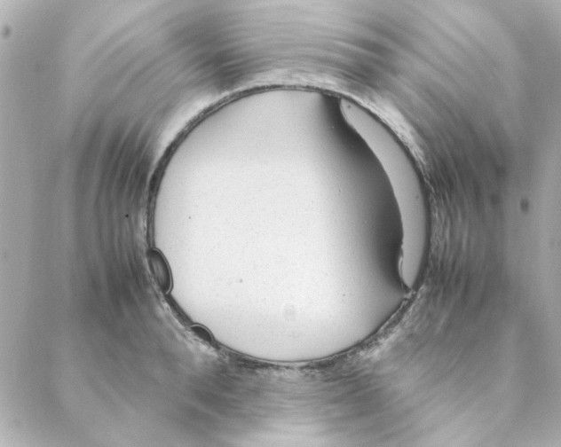 X0000088170896200706051113