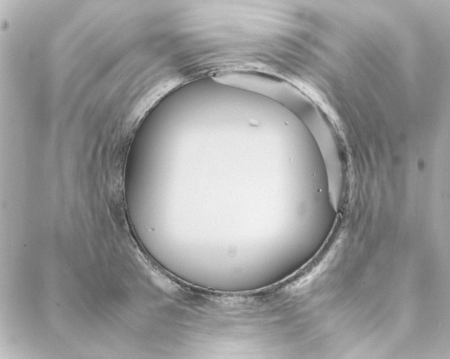 X0000088170897200706051113