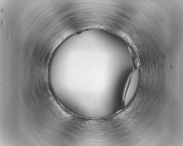 X0000088170898200706051113