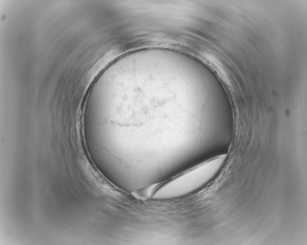 X0000088170899200706051113