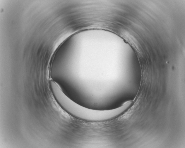 X0000088170900200706051113