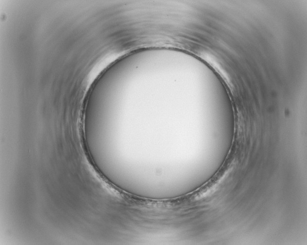 X0000088170901200706051113